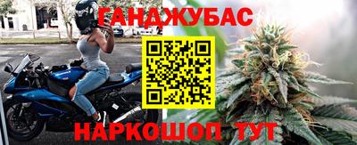 шишки Новодвинск