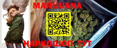 шишки Новодвинск