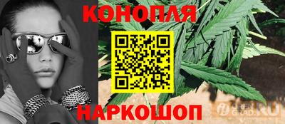 наркотики Новозыбков