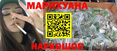 шишки Новодвинск