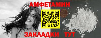 шишки Новодвинск