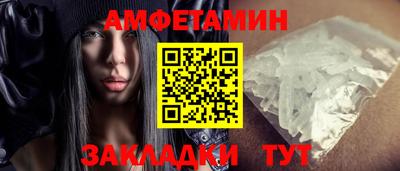 шишки Новодвинск