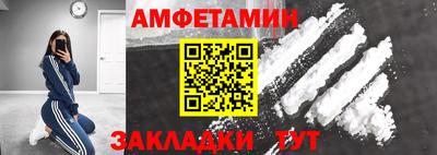 шишки Новодвинск