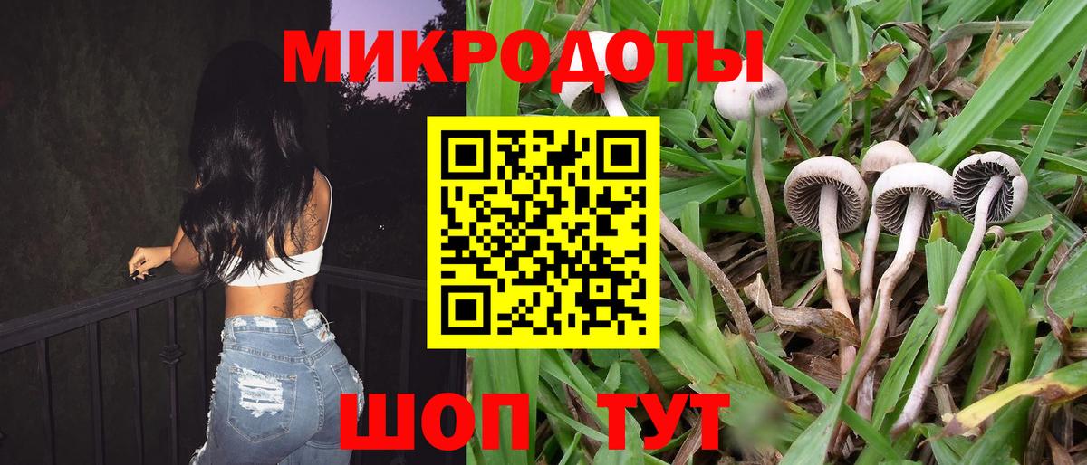 Псилоцибиновые грибы Cubensis  Вход с VPN  Галлюциногенные грибы ЛСД  Тайшет 