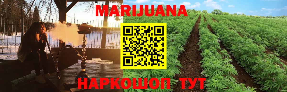 Канабис OG Kush Тайшет